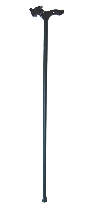 alpenstock
