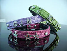 Pet Collar with Rhinestones