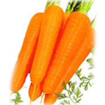 beta-carotenes  