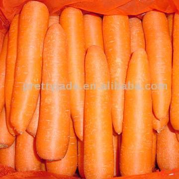 Fresh Carrots