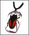 Insect amber jewelry 