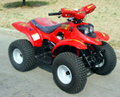 All-Terrain Vehicles (ATV100-A)
