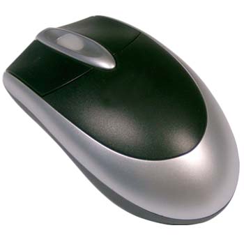 computer mouse