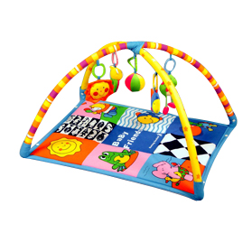 Baby Play Gym