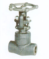 gate valves and check valves