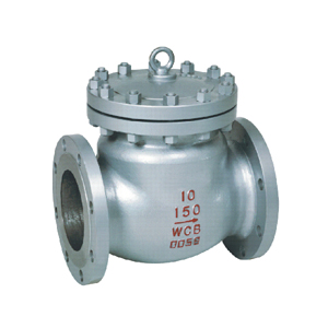 check valve 