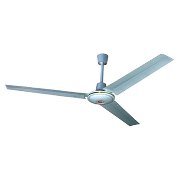 Ceiling Fans