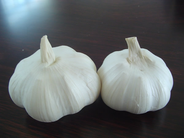 pure white garlic