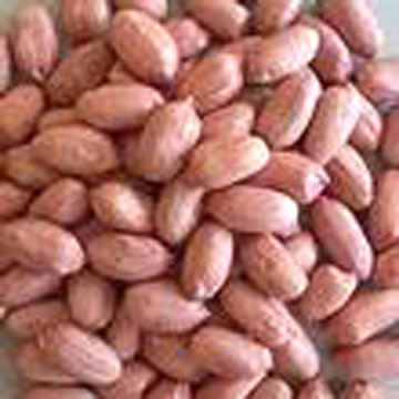 Peanut Kernels