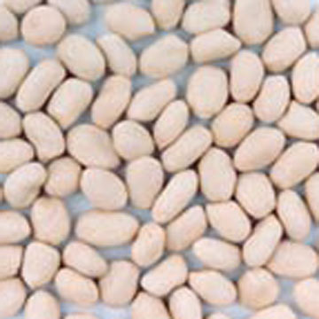 Blanched Peanut Kernels