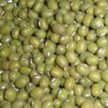 Green Mung Beans