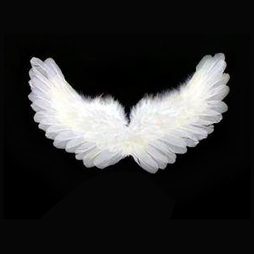 angel wings