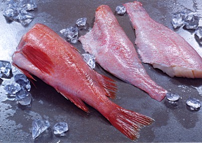 frozen Redfish Fillets