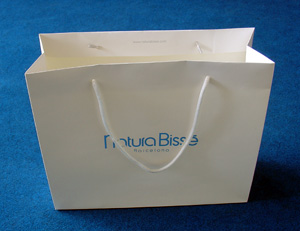 paper bag,paper shopping bag,gift bag,sticky note