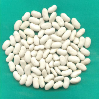 Medium white kidney beans 