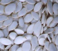 snow white pumpkin seeds 