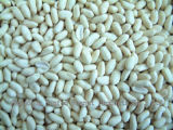 Blanched Peanuts