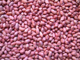 Red Skin Peanuts