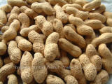 Peanuts Inshell