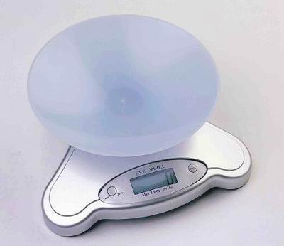 salter electronic scale 