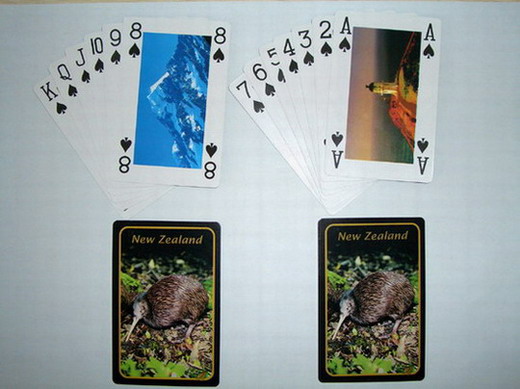PVC Playing Cards
