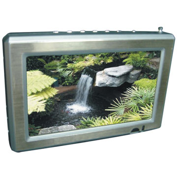 TFT LCD TVs