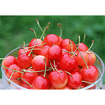 Cherries