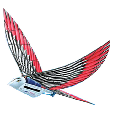 Flying Models (2258-05)