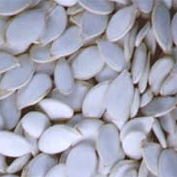 Pumpkin Seeds