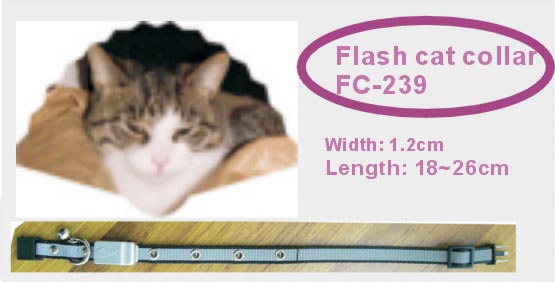 safe cat collar 