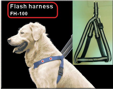 small dog harness 