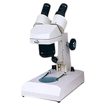 Stereo Microscopes