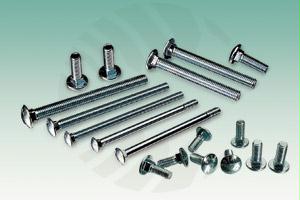 Oval head square neck bolts