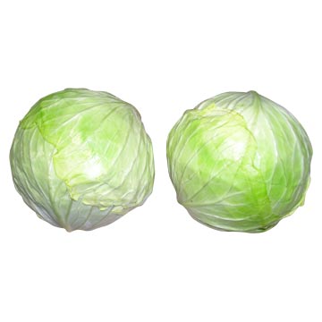 Fresh Cabbages