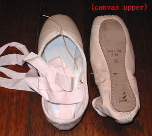 Pointe ballet shoes-Canvas upper