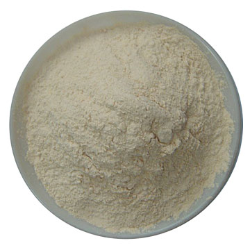 Barley Bud Extracts Juice Powder