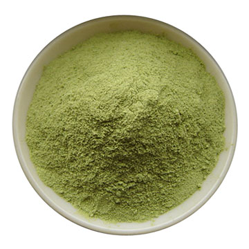 Wheat Extracts Juice Powder