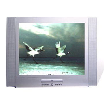 Color TV and DVD Combo