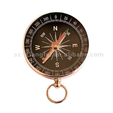 Travel Compass