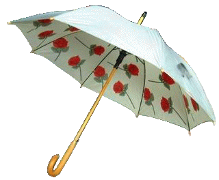 Ladys's Umbrella