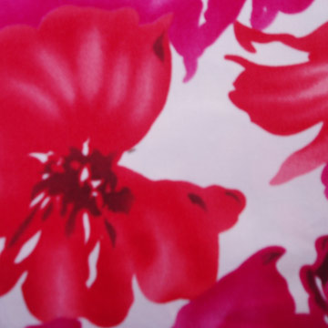 Printed Cotton Fabric