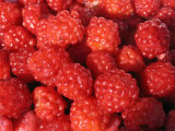 IQF Raspberrys