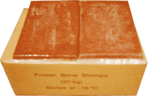 FROZEN BRINE SHRIMP