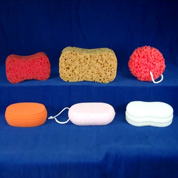 Sponges