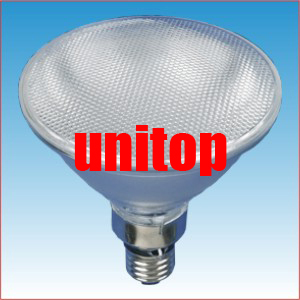 UT-PAR38 LED Par lamp