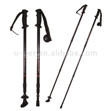 Ski Poles