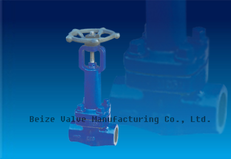 Api Bellow Sealed Gate Valve