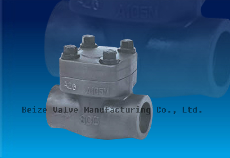 Api Forged Steel Check Valve