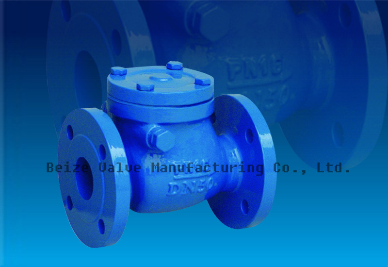 Din Swing Check Valve