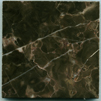 Marble tile